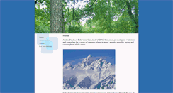 Desktop Screenshot of dandescu.com